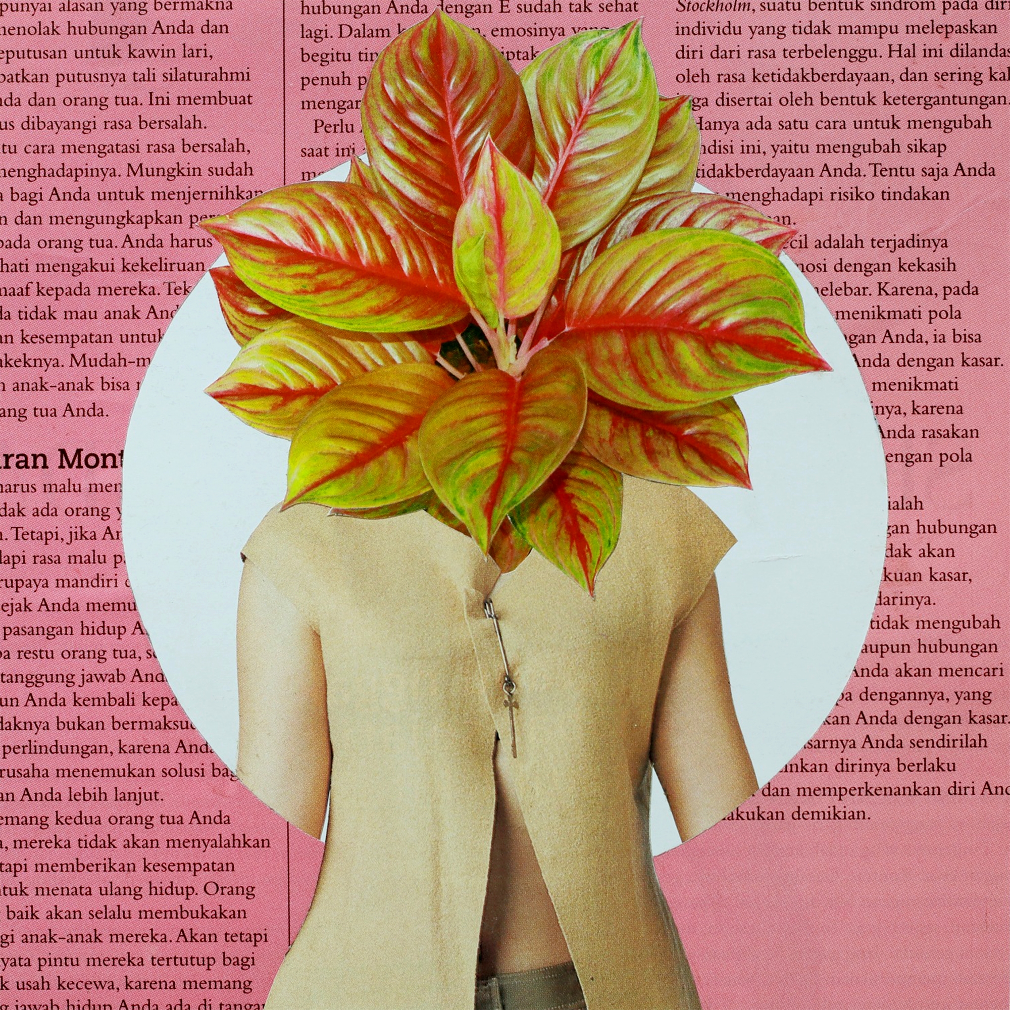 Cut and Paste banner